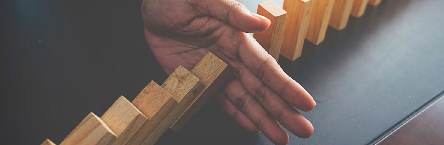 Le coaching systémique des HPI