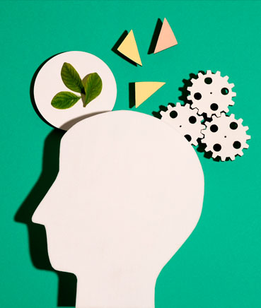 quatre grands cadres d’intervention